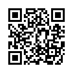 ERJ-6BWFR100V QRCode