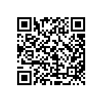 ESMQ251VSN391MP30S QRCode