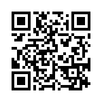 ESQ-131-13-S-T QRCode