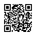 ESQ-131-33-S-T QRCode