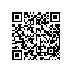 ESQT-111-02-F-D-595 QRCode