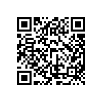 ESQT-113-02-F-D-393 QRCode