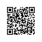 ESQT-123-02-GF-Q-309 QRCode