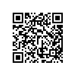 ESQT-137-02-H-Q-309 QRCode