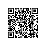 EW-02-09-L-S-300 QRCode