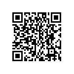 EW-04-13-G-S-375 QRCode