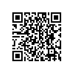 EW-04-13-T-D-787 QRCode