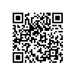 EW-06-09-S-S-300 QRCode