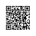 EW-09-09-S-D-300 QRCode