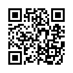 FCE17E09PA41B QRCode