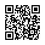 FCE17E09PB65B QRCode