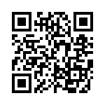 FCE17E09PB69B QRCode