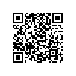 FM28V020-T28GTR QRCode