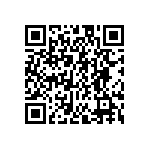 FW-10-04-L-D-303-065 QRCode