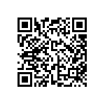 FW-13-04-G-D-390-080 QRCode