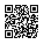 H30810800000G QRCode