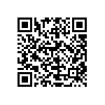 HE30800T2321PA6M QRCode