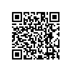 HE30800T2561PA7M QRCode