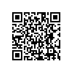 HE30806T1519PA6M QRCode