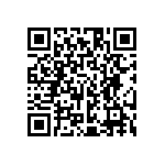 HE30806T2321PA6M QRCode