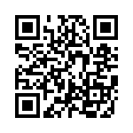 HKQ04021N0S-T QRCode