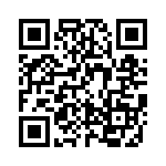 HS4010800000G QRCode