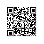 JT06RE14-35PA-386 QRCode