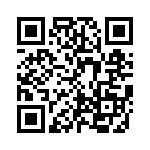 KE381151A000G QRCode