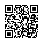 KE383151A000G QRCode