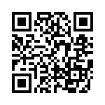 KE421251A000G QRCode