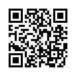 KE423251A000G QRCode