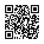 KJB0T13J98JB QRCode