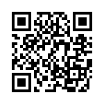 KJB6T13W98PAL QRCode