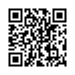 KJL3T21N41BN QRCode