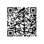 KMQ450VS101M22X30T2 QRCode