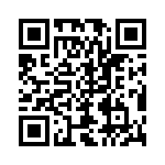 KP0621500000G QRCode