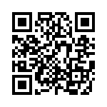 KR1101010000G QRCode