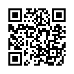 L-07W16NKV4T QRCode