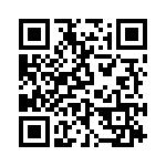 L17158909 QRCode