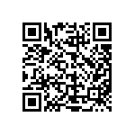 L2C5-30901204E1300 QRCode