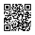 LQP02HQ4N2B02E QRCode