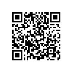 LT300014T261K0J QRCode