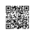 M55342H04B100ART5 QRCode