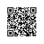 M55342H04B161BRT5 QRCode