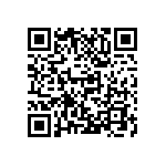 M55342H04B174BRWS QRCode