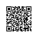 M55342H04B17E4RWS QRCode