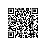 M55342H04B2E21RWS QRCode