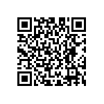 M55342H04B4B02RWS QRCode