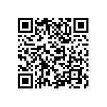 M55342H04B79B6RT0 QRCode