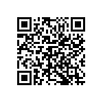 M55342K02B100APWS QRCode